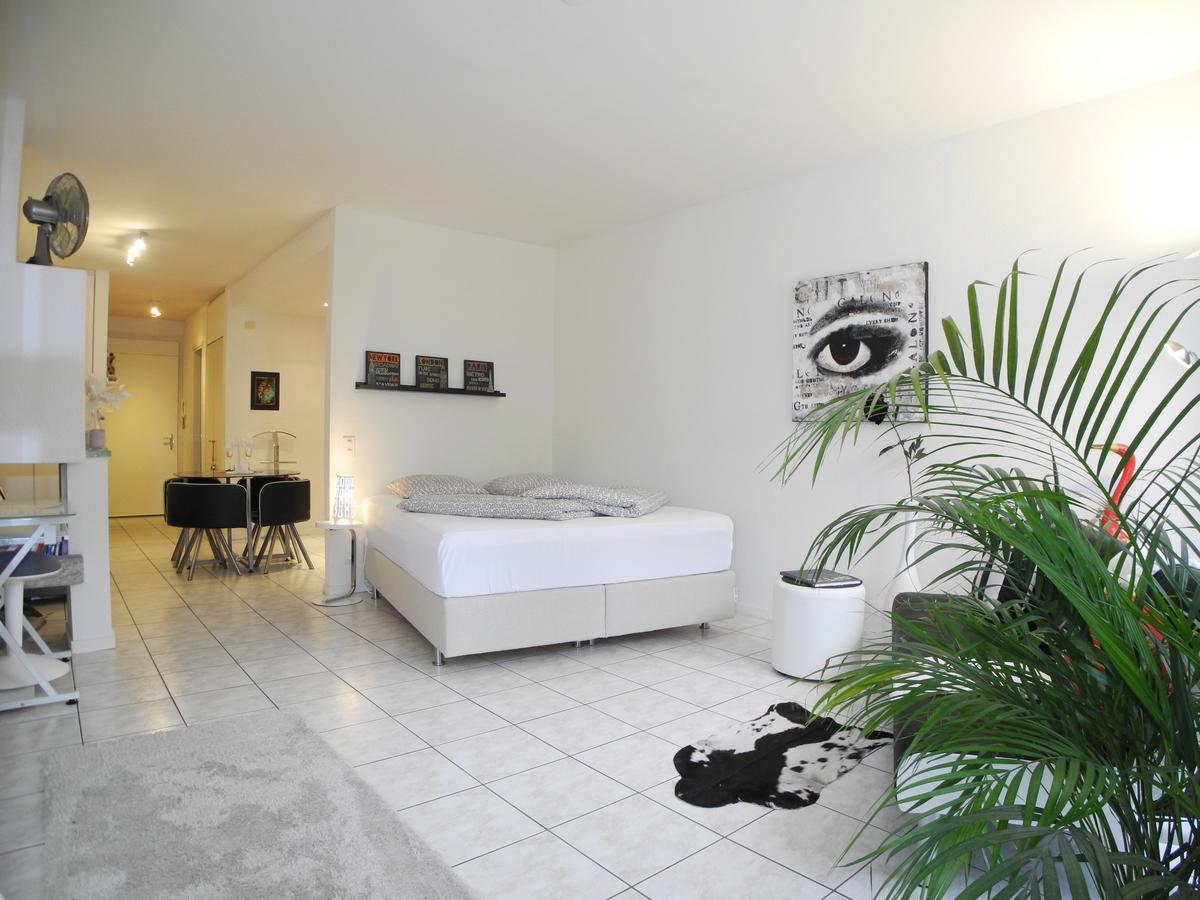 Appartement Irene Ascona